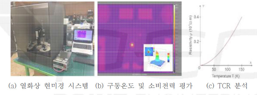 열화상 현미경 시스템 및 소비전력 평가