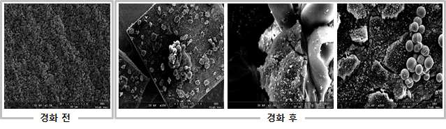 경화 전/후 입도 분포