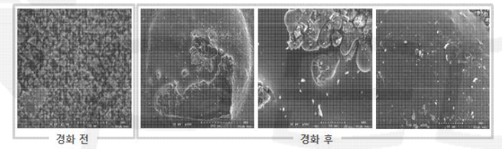 경화 전/후 입도 분포