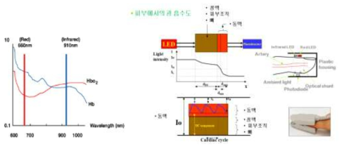 광용적맥파법을 이용한 산소포화도(SpO2) 측정 원리