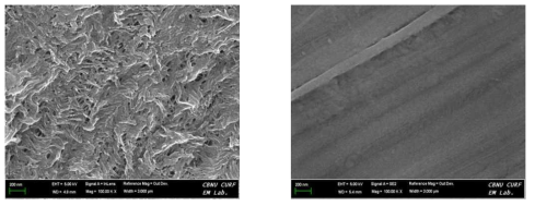 UHMWPE 섬유의 FE-SEM 그래프 (a) 0배 (b) 8배