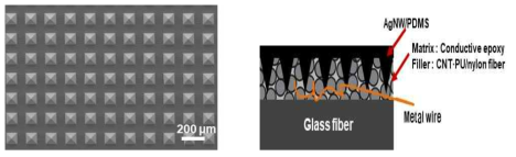 Filler electrode의 SEM 이미지와 CNT 센서와 연결하기 위한 모식도