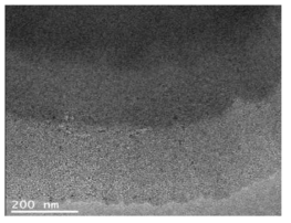 TEM Image of Liquid Crystal Emulsion