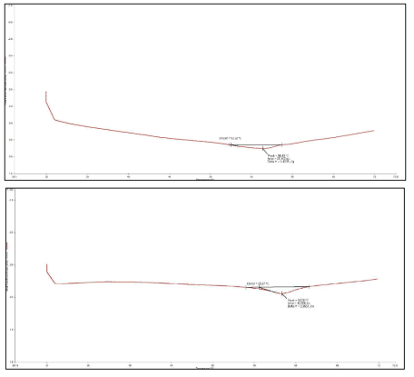 시차주사열량측정 결과 (DSC, Differential Scanning Calorimetry)