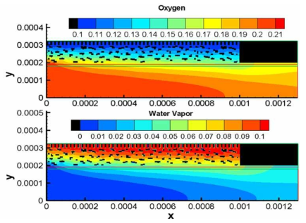 채널, 가스확산층 및 전극층 내 물질분포에 대한 통합해석모델 예시 (※출처: L. Chen et al., Int. J. Heat Mass Transfer 63 (2013): 268-283.)