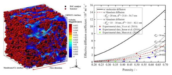 전극층 내 미세구조를 통한 유동 경로 모사 결과 및 기공률에 따른 전극층 내 유효 기체 확산 계수