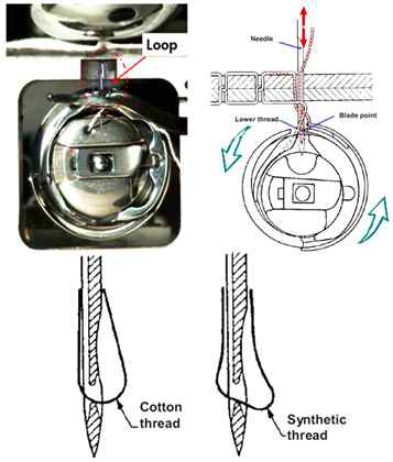 1cycle 동안의 바늘대 거동 및 loop 관찰