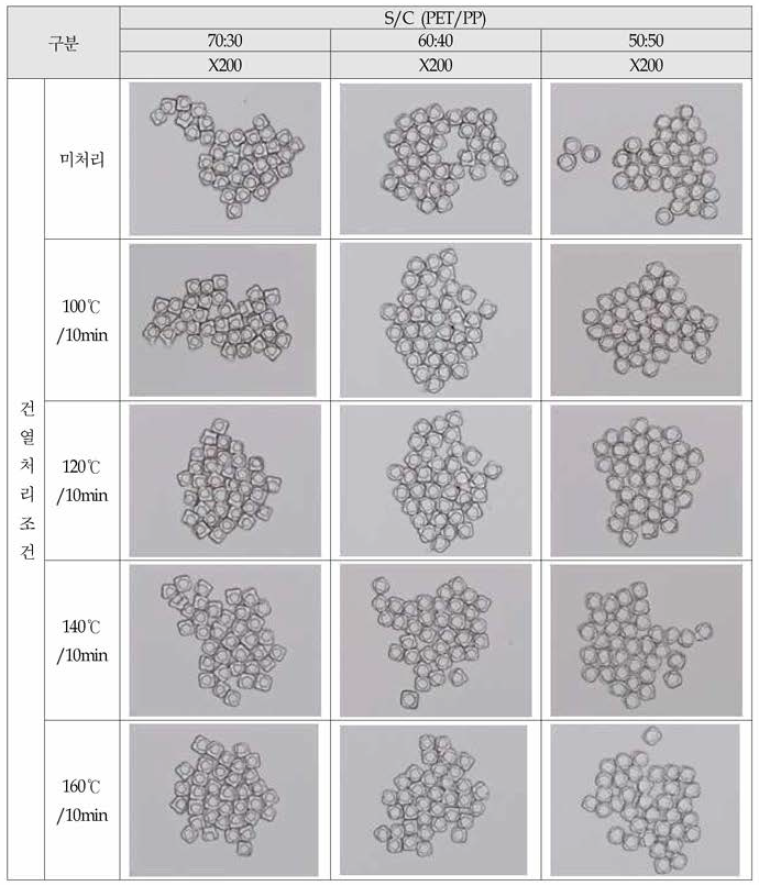 온도별 lOmin 건열 처리전후의 이중십자 S/C PET/PP SDY 50/36 비율별 원사 단면형상 사진