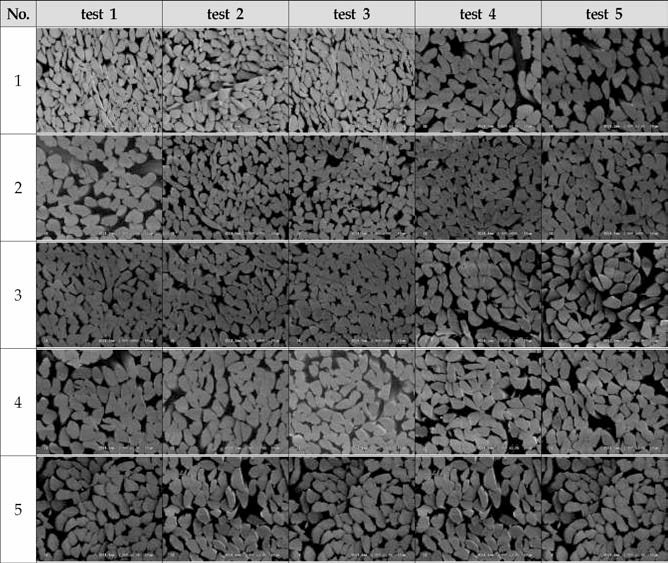 다양한 종류의 silk소재 단면형상 분석 SEM 사진
