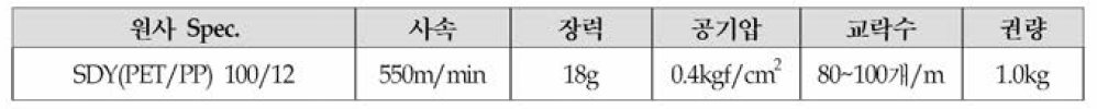 개발원사 SDY(PET/PP) 100/12f 제작 공정 조건