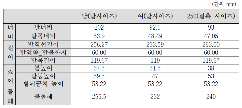 6차 사이즈 코리아 남, 여 평균 발 사이즈와 신발(250mm) 실측 사이즈 표