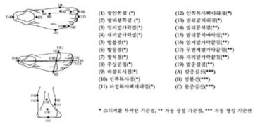 측정기준점 및 측정기준선