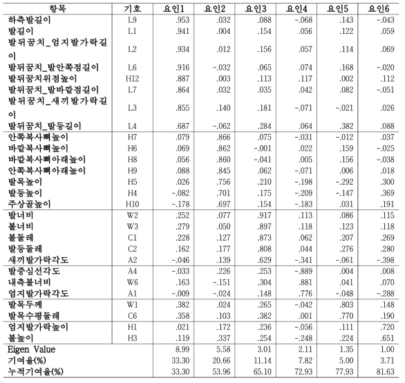 발 유형 분류를 위한 요인분석 결과