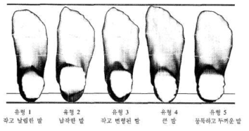 군집 분석에 따른 발 유형