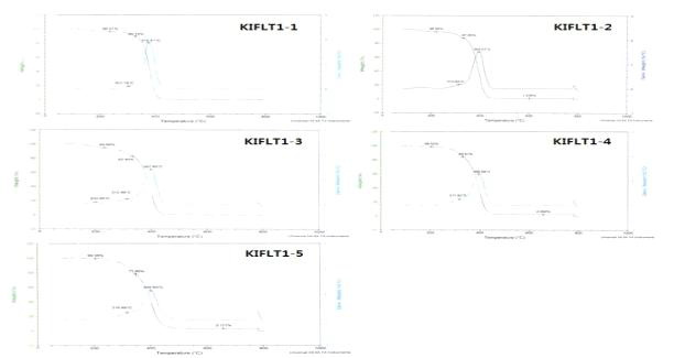 KIFLT 1-1~5의 TGA Curve