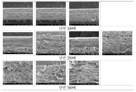 고흡수성 러프 필름 단면 SEM 촬영 사진