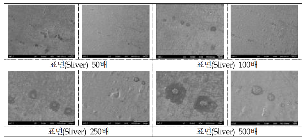 고흡수성 러프 필름 배면 Silver Layer SEM 촬영 사진