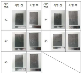 시험 결과