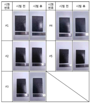 시험 결과