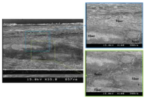 올레핀계 prepreg 적용 복합재 단면 SEM 사진