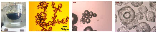 나노입자의 분산성을 향상시키기 위한 제조법 및 제조된 미립자의 광학현미경 사진