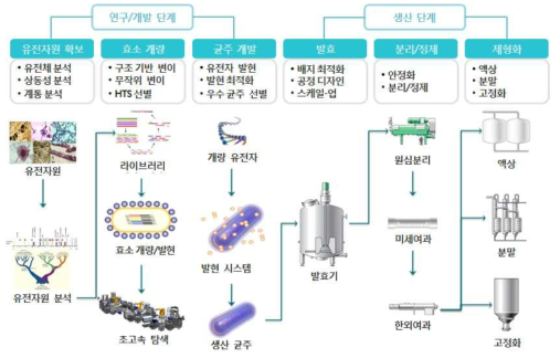 바이오화학 제품 생산 단계