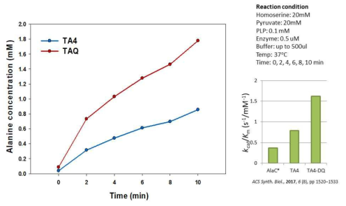 TA4 와 그 변이효소 TA4Q의 활성 비교
