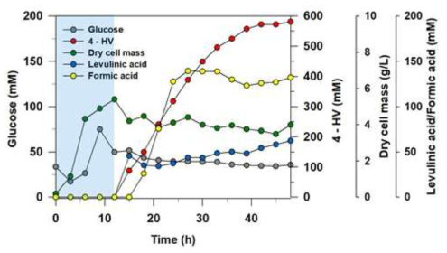 5L 생물 반응기 실험으로부터 4HV 생산, 포도당, 폼 산, 레불린산 소모, 그리고 세포 성장에 대한 시간 경과 개요. 파란색 지역에 표시된 처음 12시간은 성장 단계를 지시하고 12시간 후 그 배지들은 생산 단계로 옮겨짐