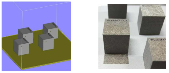 제작된 시편 CAD 3D도면(좌) 및 제작 시편 사진(우)