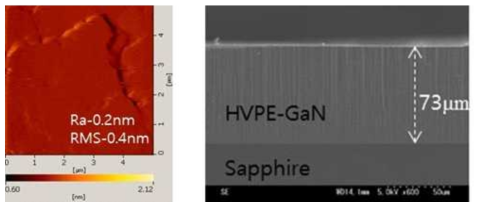 성장된 GaN bulk의 AFM 및 단면 SEM image