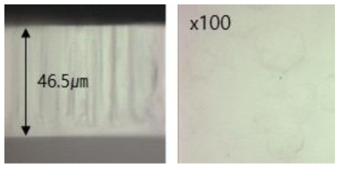 최적 Susceptor 거리에서 측정된 (좌)두께 및 (우)표면 SEM 이미지