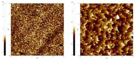 열처리 전(좌), 후(우)의 AFM 표면 관찰