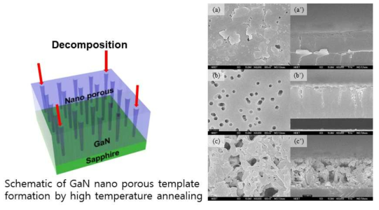 (좌) 고온 decomposition 방법을 적용한 porous 구조 형상법 모식도 (우) SEM images; 각각 (a) 1150℃ (b) 1200℃ (c)1250 ℃에서 60분 열처리. (a´),(b´),(c)´는 각각의 측면형상 SEM images
