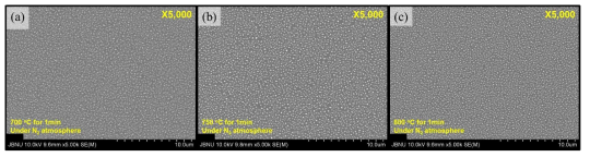 열처리 온도에 따른 Ni nano mask 형성 SEM images