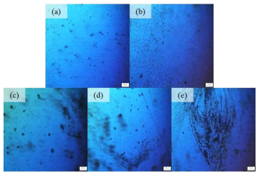 Ni(OH)2 0.04 ml 스핀 코팅을 위한 조건 중 1 step 스핀 증가 실험 (2 step : 5000 rpm 으로 고정) 샘플의 표면을 광학현미경으로 500배 확대하여 관찰한 image. 각각 (a) 60rpm, (b) 100rpm, (c) 200rpm, (d) 300rpm, (e) 500rpm