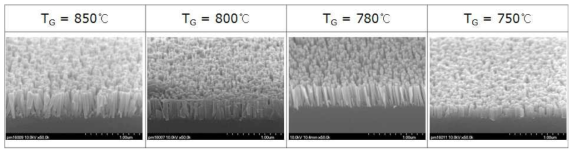 성장온도에 따른 nano-wire GaN 형상변화