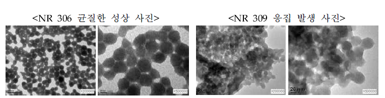 NR 306 Scale-up 합성 시 SEM 사진