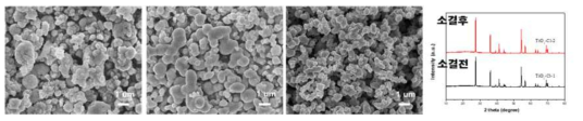 EtOH 함량에 따른 TiO2 구조체 SEM 이미지 (Et-TiO2)