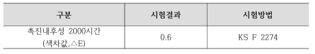 촉진내후성