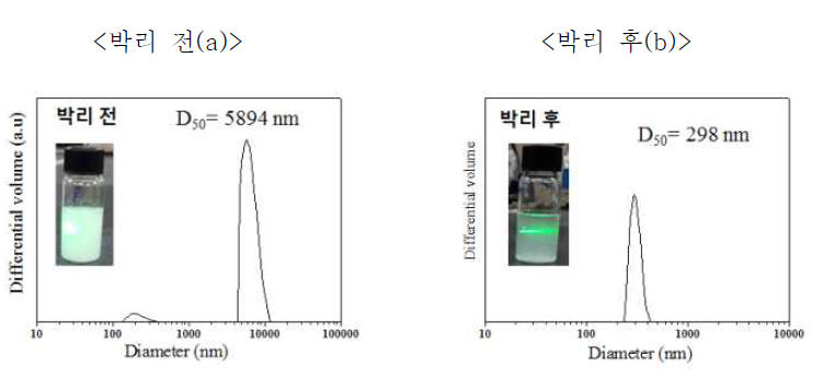 박리 전(a) 후(b) 졸 겉보기 관찰 및 PSA 입도 분석 결과