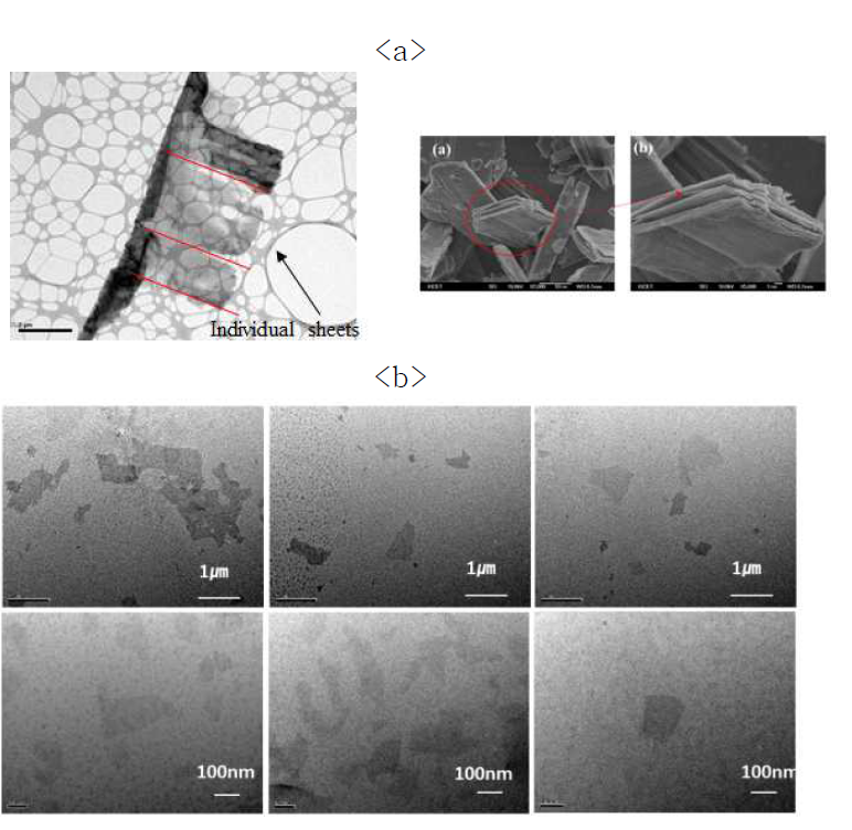 박리 전 HTO 판상체(a) FE-SEM 이미지와 박리 후 Titanate 나노시트(b) TEM 이미지