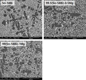 Sn-58Bi 및 (100-x)(Sn-58Bi)-xMg (x=0.5, 1)합금의 미세조직