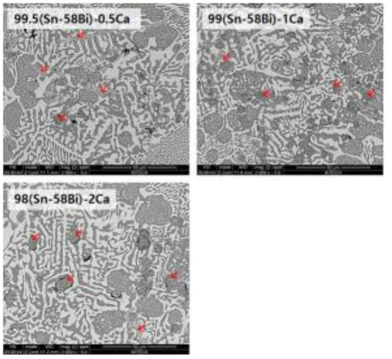 (100-x)(Sn-58Bi)-xCa (x=0.5, 1, 2) 합금의 미세조직