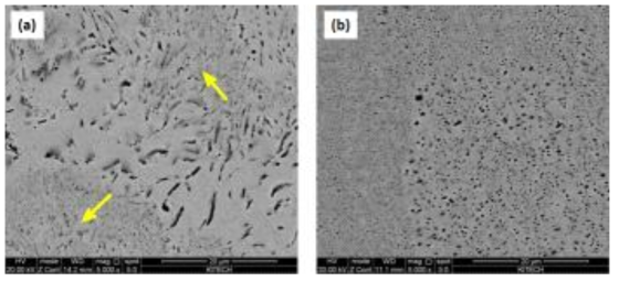 SEM BSE image: (a) 다이캐스팅 시편, (b) 중력주조 시편