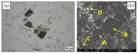 Sn-20Bi-1Zn-0.5Ce 합금의 미세조직