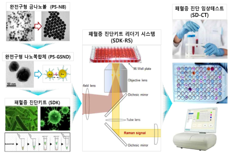 패혈증 진단키트 시스템 개발 전략. [완전구형 금나노볼(PS-GNB: Perfect Sphere Gold Nano Ball) 나노구조체, 생체기능화된 완전구형 나노복합체 (PS-GSND: Perfect Sphere - Gold-Silver Nano Dumbbell), 패혈증 진단키트 (SDK: Sepsis Diagnosis Kit), 패혈증 진단키트 리더기 시스템(SDK-RS: Sepsis Diagnosis Kit – Reader System), 패혈증 진단 임상테스트(SD-CT: Sepsis Diagnosis – Clinical Test)]