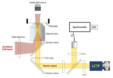 광대역 라만분광측정기 (Wide-field Raman Spectrometer)