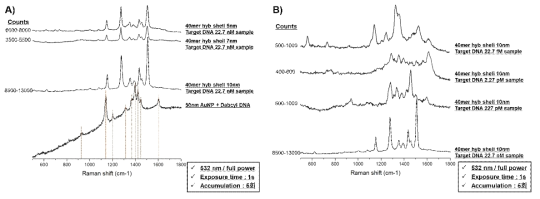 나노복합체의 라만 신호 측정 결과 A) Ag shell 두께별 라만 신호 결과. B) 표적 부위 농도별 라만 신호 결과