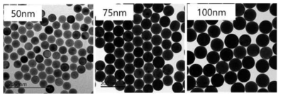 좌측부터 기존 안정화제 투입량 대비 1배, 1.18배, 1.47 배의 조건에서의 완전구형 금나노볼(PS-GNB)의 입자 크기 변화
