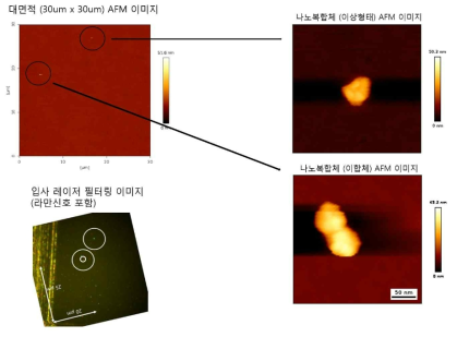 나노복합체 분산 된 커버글라스의 원자탐침현미경 영상과 분광이미징 영상 결과. 나노복합체 중 이합체 (dimer)에서만 편광 된 분광신호가 발생함 (흰색 원 표시)